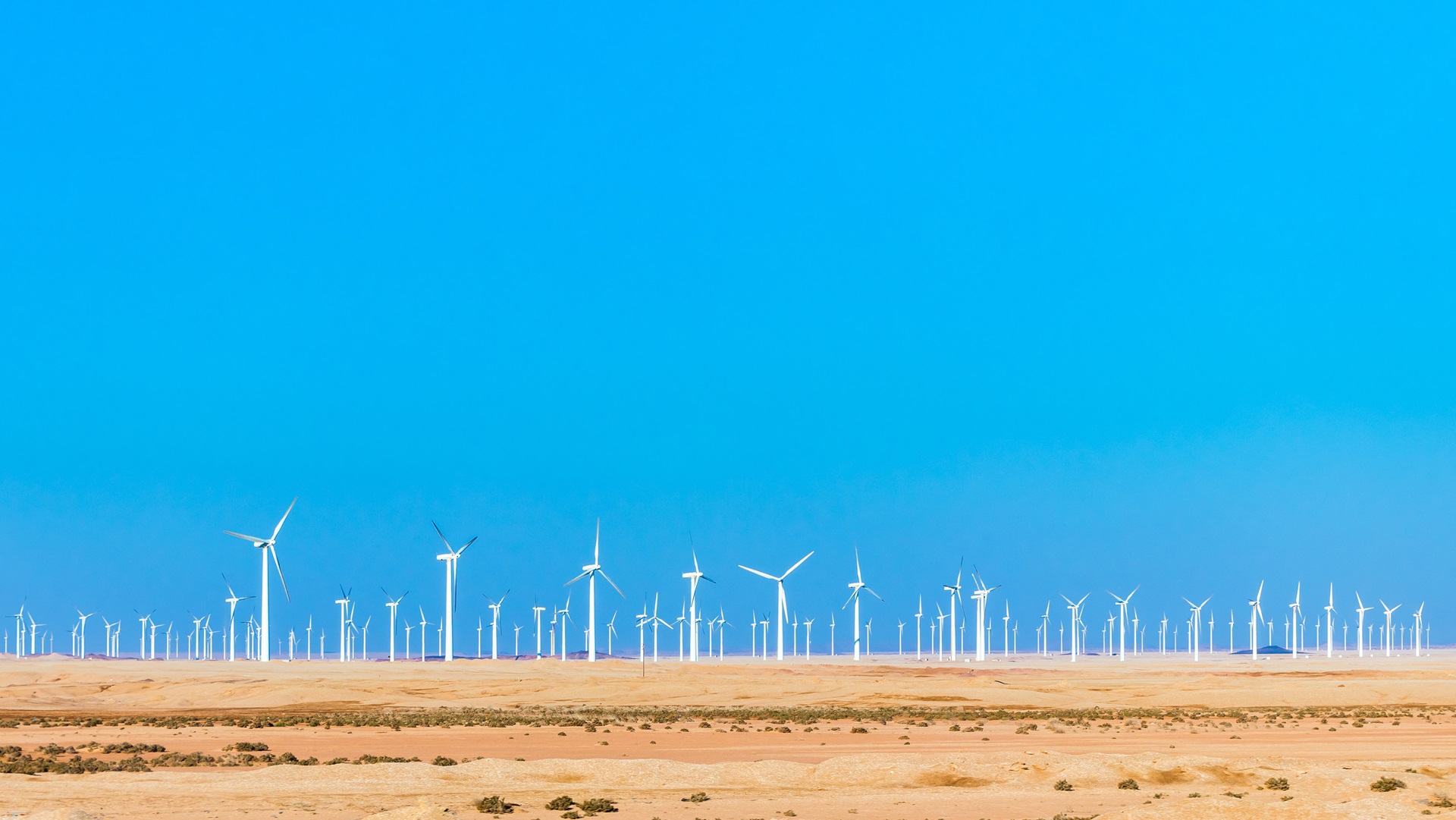 energy transition survey