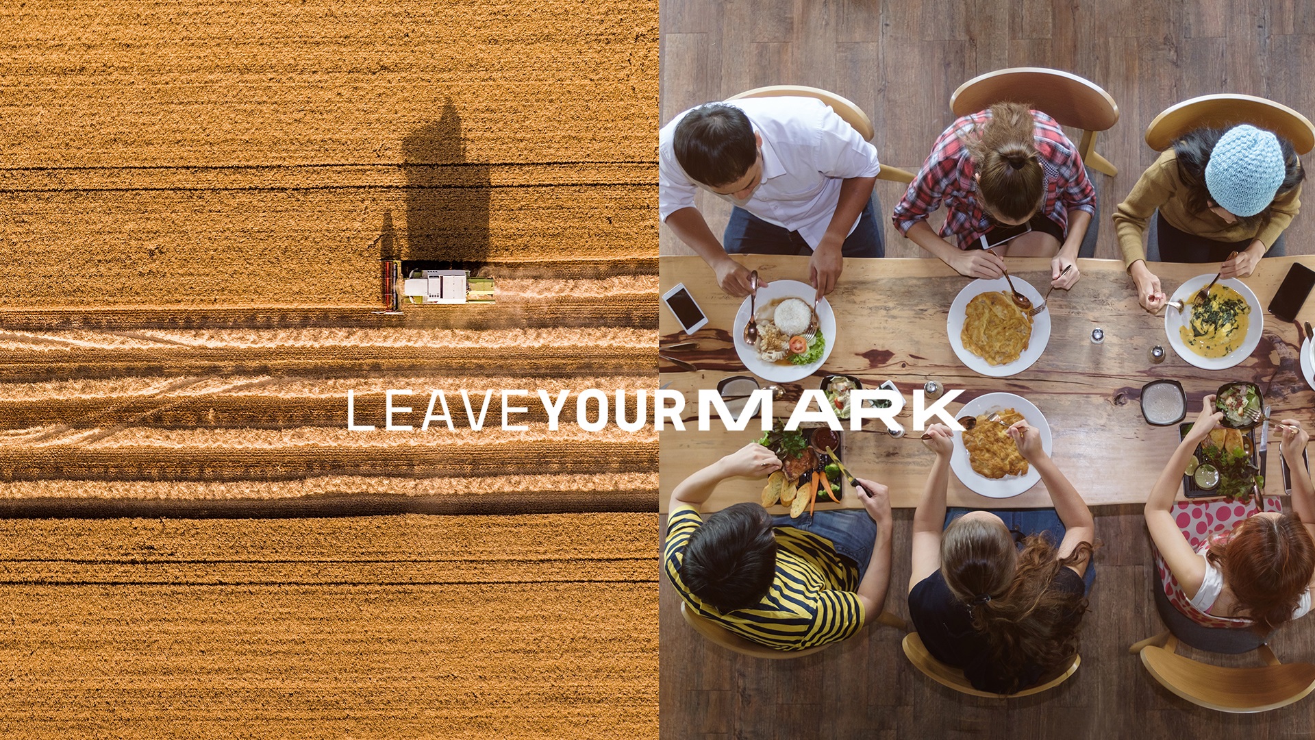 careers bureau veritas switzerland values