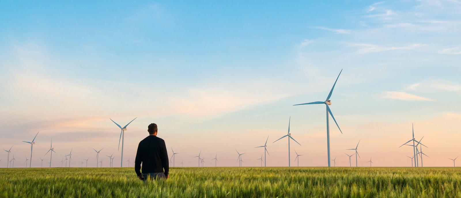 sustainability landscape