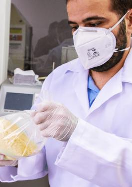 Aflatoxin Kontrolle