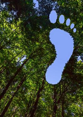 Calculating Carbon Footprint