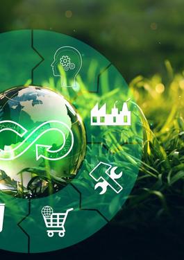 Life Cycle Assessment (LCA)