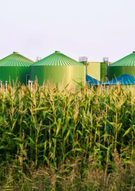 sustainability biomass certification